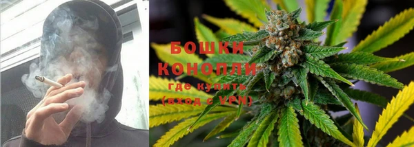 молекула духа Вязники